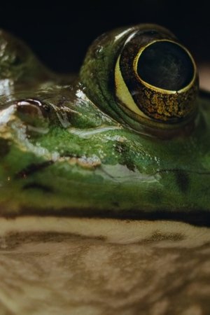 2. epizoda