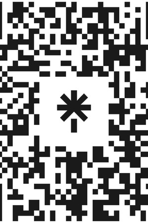The Secrets of QR Codes