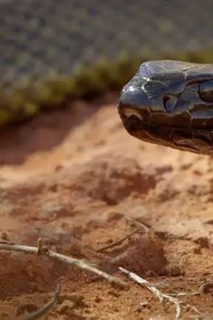 3. epizoda