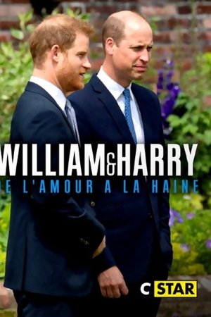 William et Harry : de l'amour à la haine