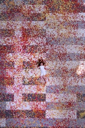 Cloud of Petals