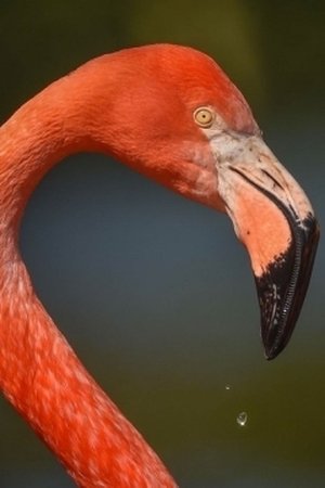 3. epizoda