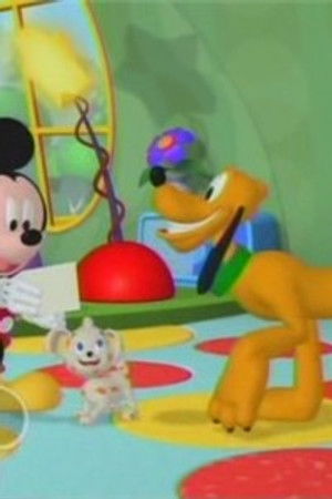 Hlídání štěněte s Plutem