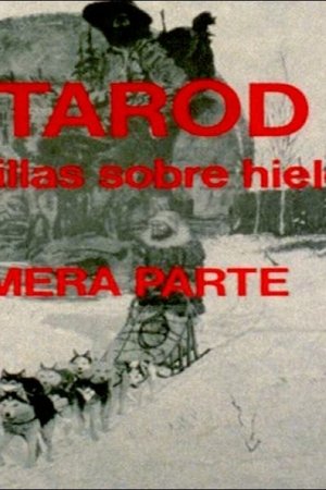 13. epizoda