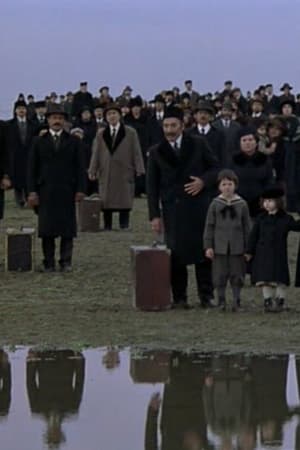 The Weeping Meadow