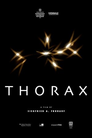 Thorax