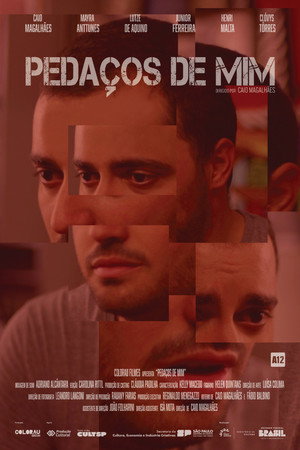 Pedaços de Mim