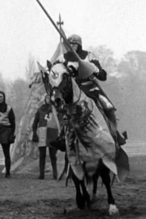 The Knight with the Red Plume