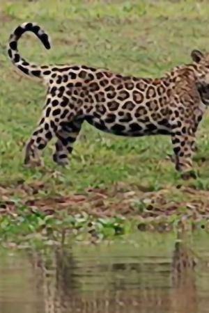 3. epizoda