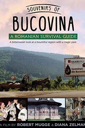 Souvenirs of Bucovina: A Romanian Survival Guide