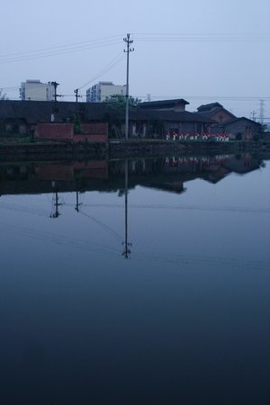 Mongolism
