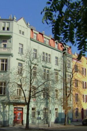 Obraz paní Rybkové