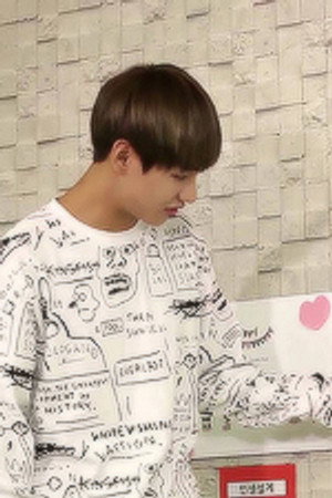 [BTS in NAVER STAR CAST] BANGTAN NEWS 2015.06.12