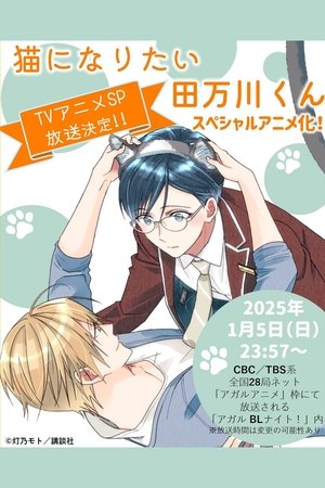 猫になりたい田万川くん