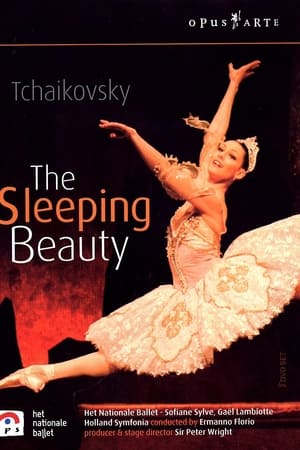 The Sleeping Beauty (Dutch National Ballet, 2003)