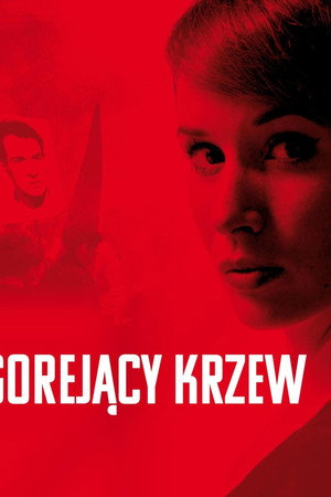 Gorejący krzew