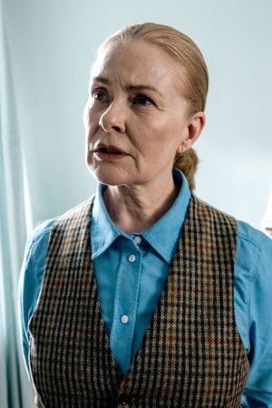 Die Füchsin - Der Spion