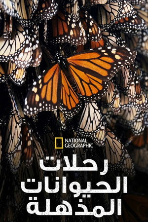 رحلات الحيوانات المذهلة