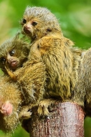 3. epizoda