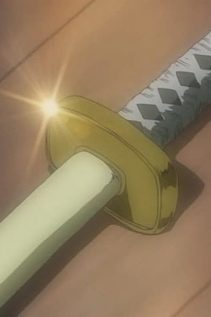 The Pirate King and the Master Swordsman