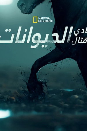 نادي قتال الحيوانات