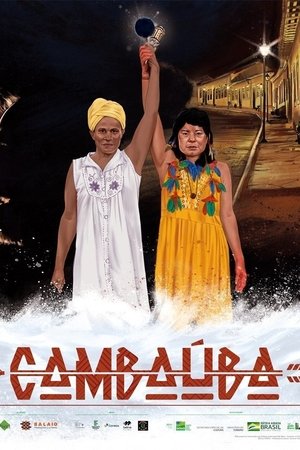 Cambaúba