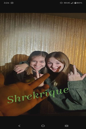 Shrekrique