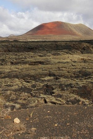 epizoda