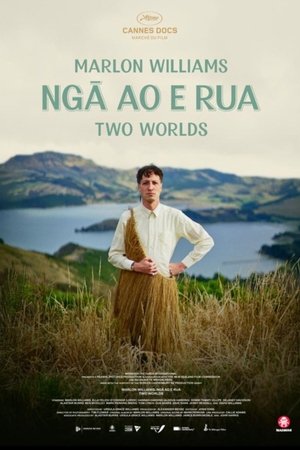 Marlon Williams: Ngā Ao E Rua - Two Worlds