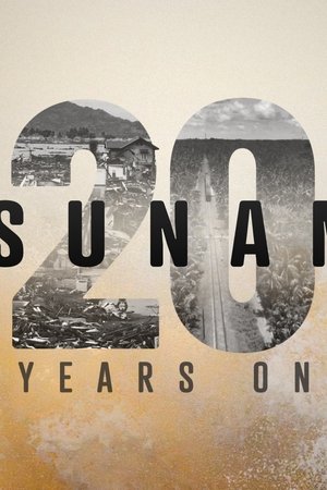 Tsunami: 20 Years On