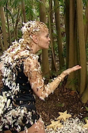 Catch A Falling Star