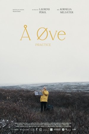 Å øve