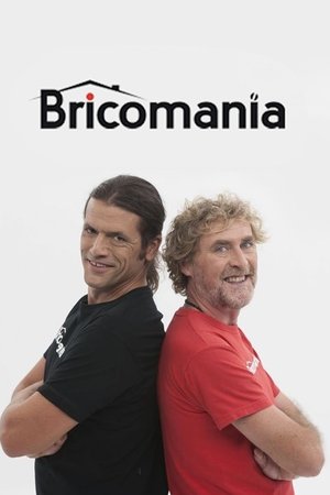 Bricomanía