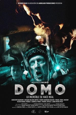 Domo