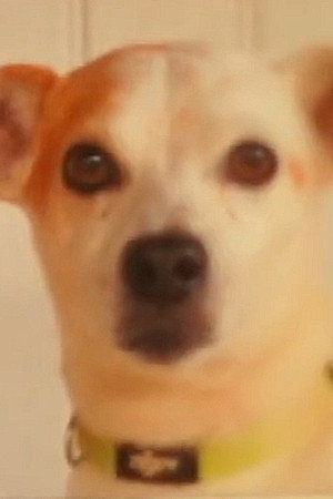 /2BjrHSysW020qunYodgKSLfsvr7.jpg