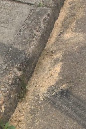 19. epizoda