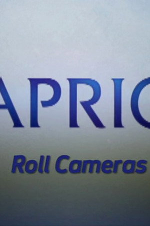 Video Blogs: Roll Cameras