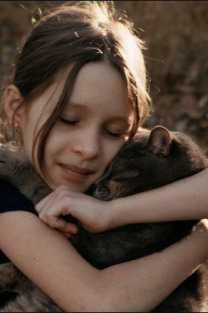 Save the Cat