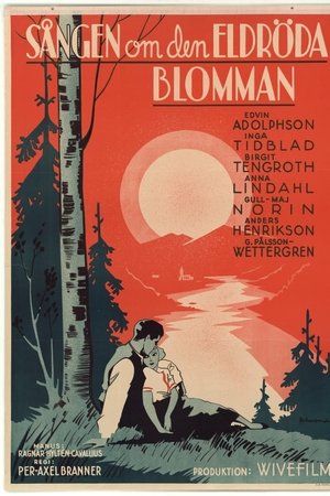 Sången om den eldröda blomman