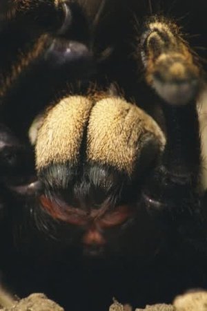 3. epizoda