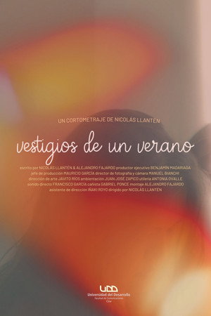 Vestigios de un Verano