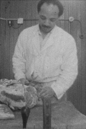 6th Street Meat Club (Newsreel #11)