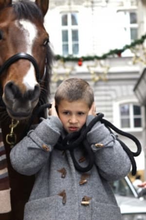 Das Pferd auf dem Balkon