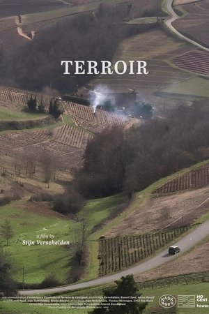 Terroir