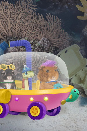 Save the Coral! / Help the Queen Bee!