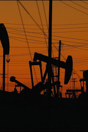...Raw materials really make countries richer?
