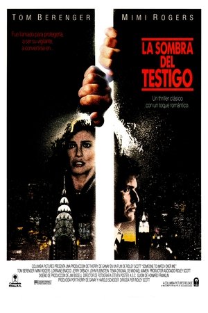 Imagen de La sombra del testigo