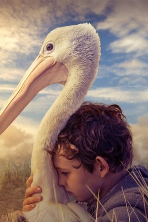 Chlapec a pelikán