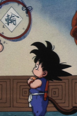 The Secret of the Dragon Balls