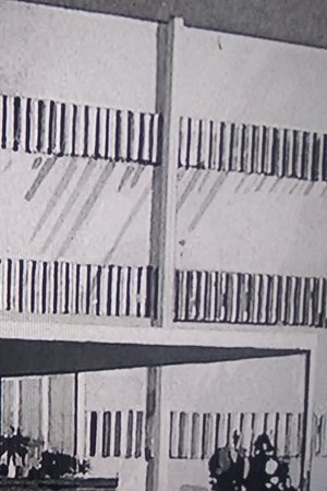 29. epizoda